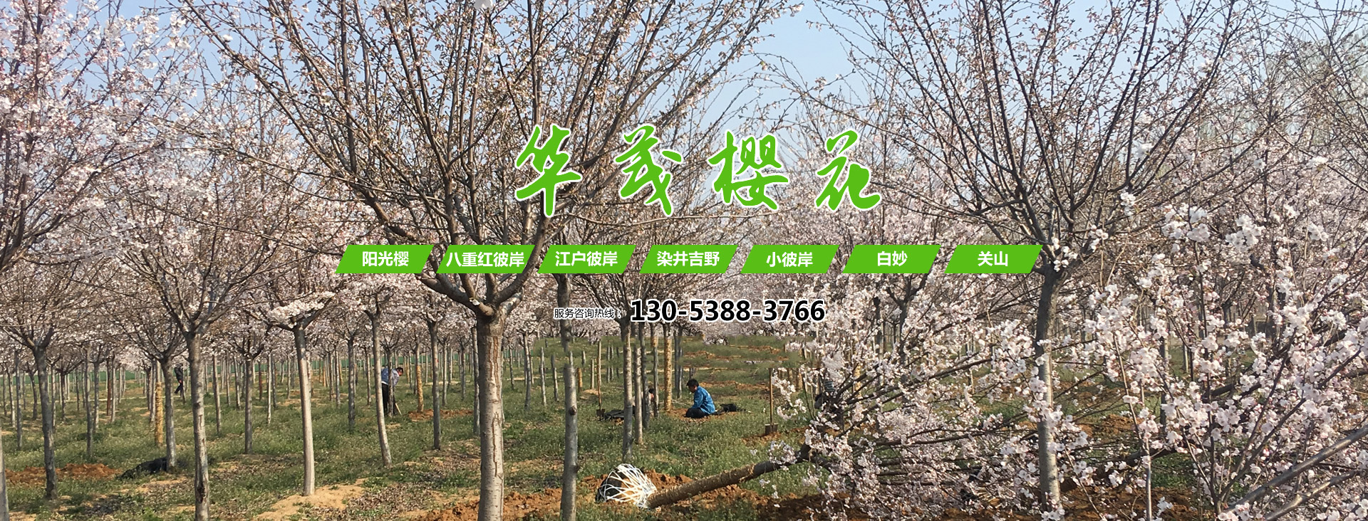 嘉祥縣金利隆石業有限公司